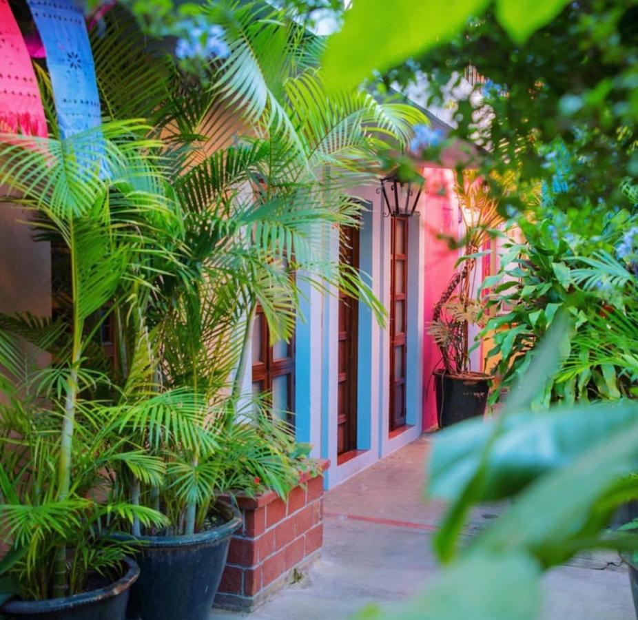 Hotel Las Golondrinas Oaxaca Buitenkant foto