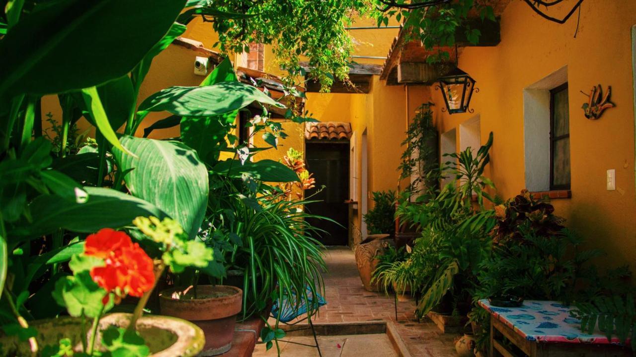Hotel Las Golondrinas Oaxaca Buitenkant foto