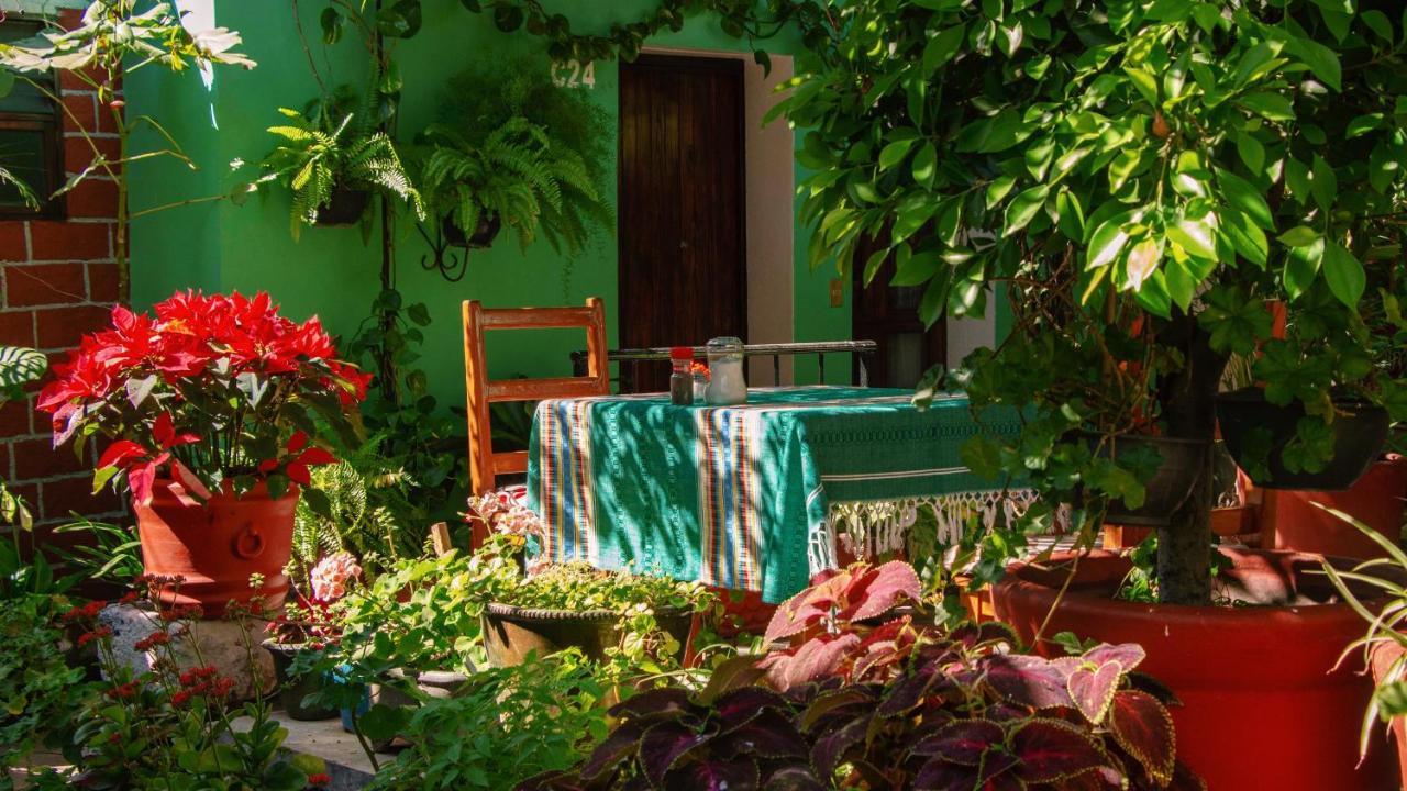 Hotel Las Golondrinas Oaxaca Buitenkant foto