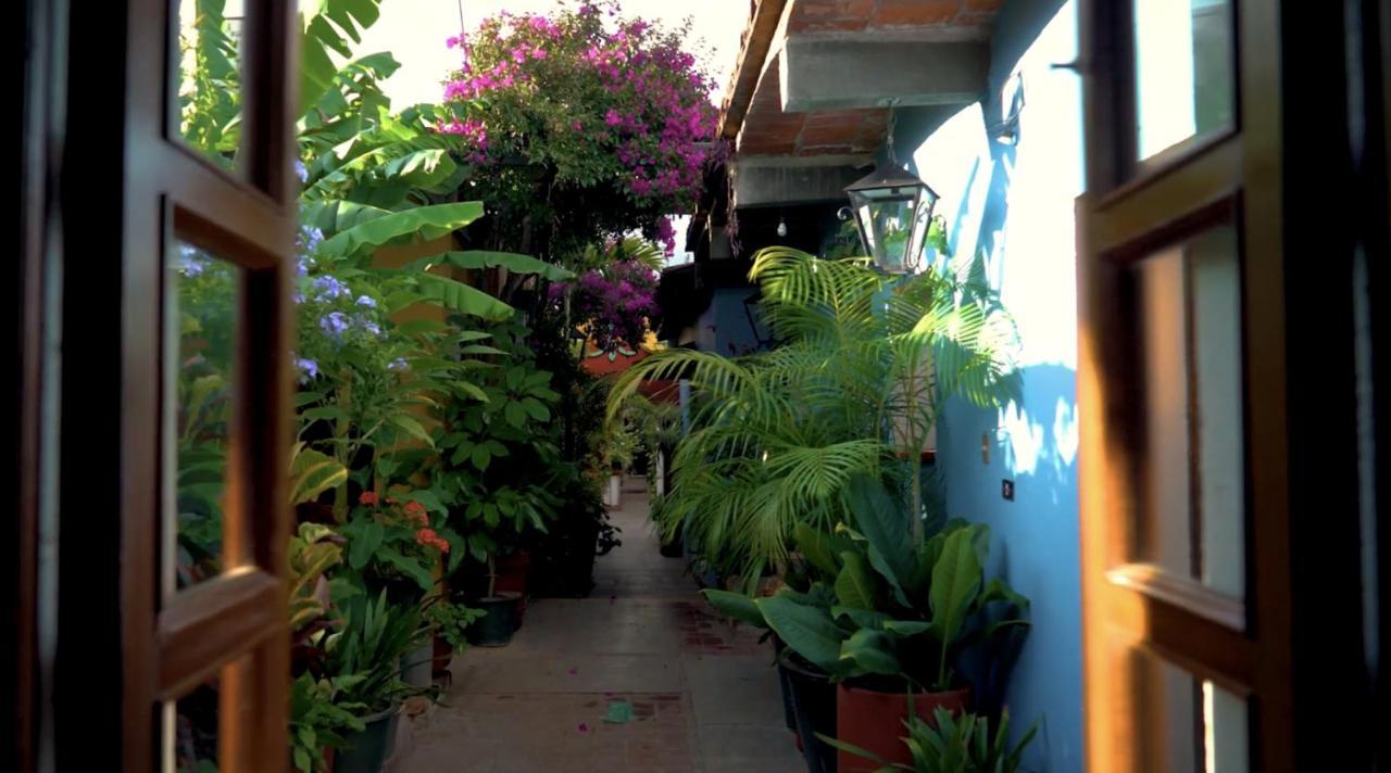 Hotel Las Golondrinas Oaxaca Buitenkant foto