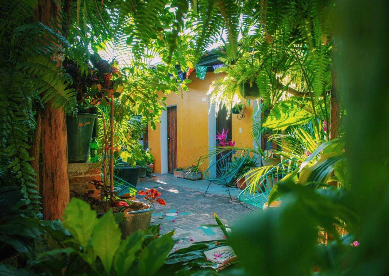 Hotel Las Golondrinas Oaxaca Buitenkant foto