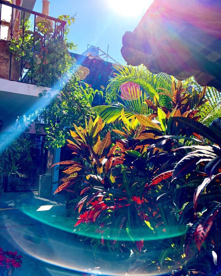 Hotel Las Golondrinas Oaxaca Buitenkant foto