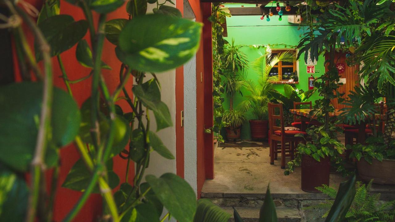 Hotel Las Golondrinas Oaxaca Buitenkant foto