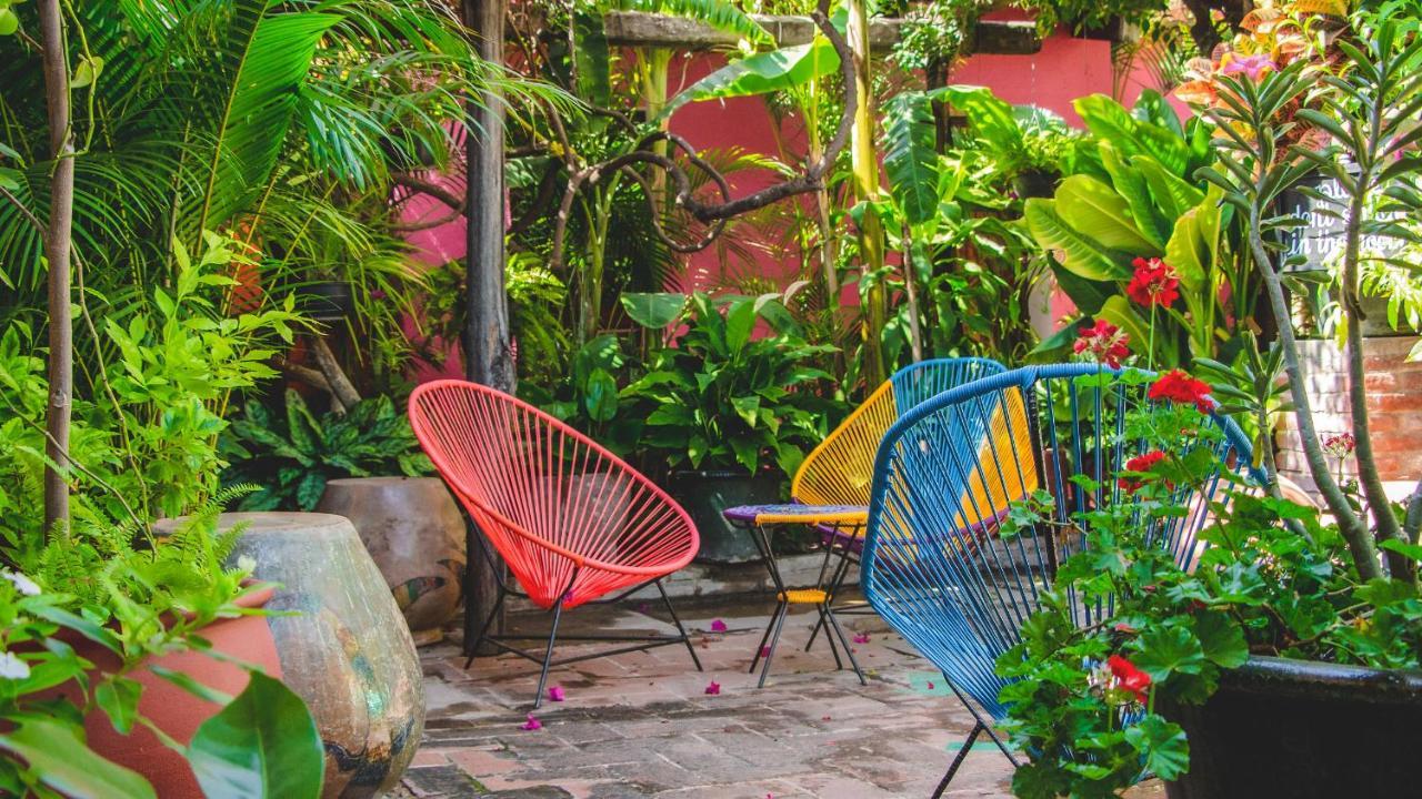 Hotel Las Golondrinas Oaxaca Buitenkant foto