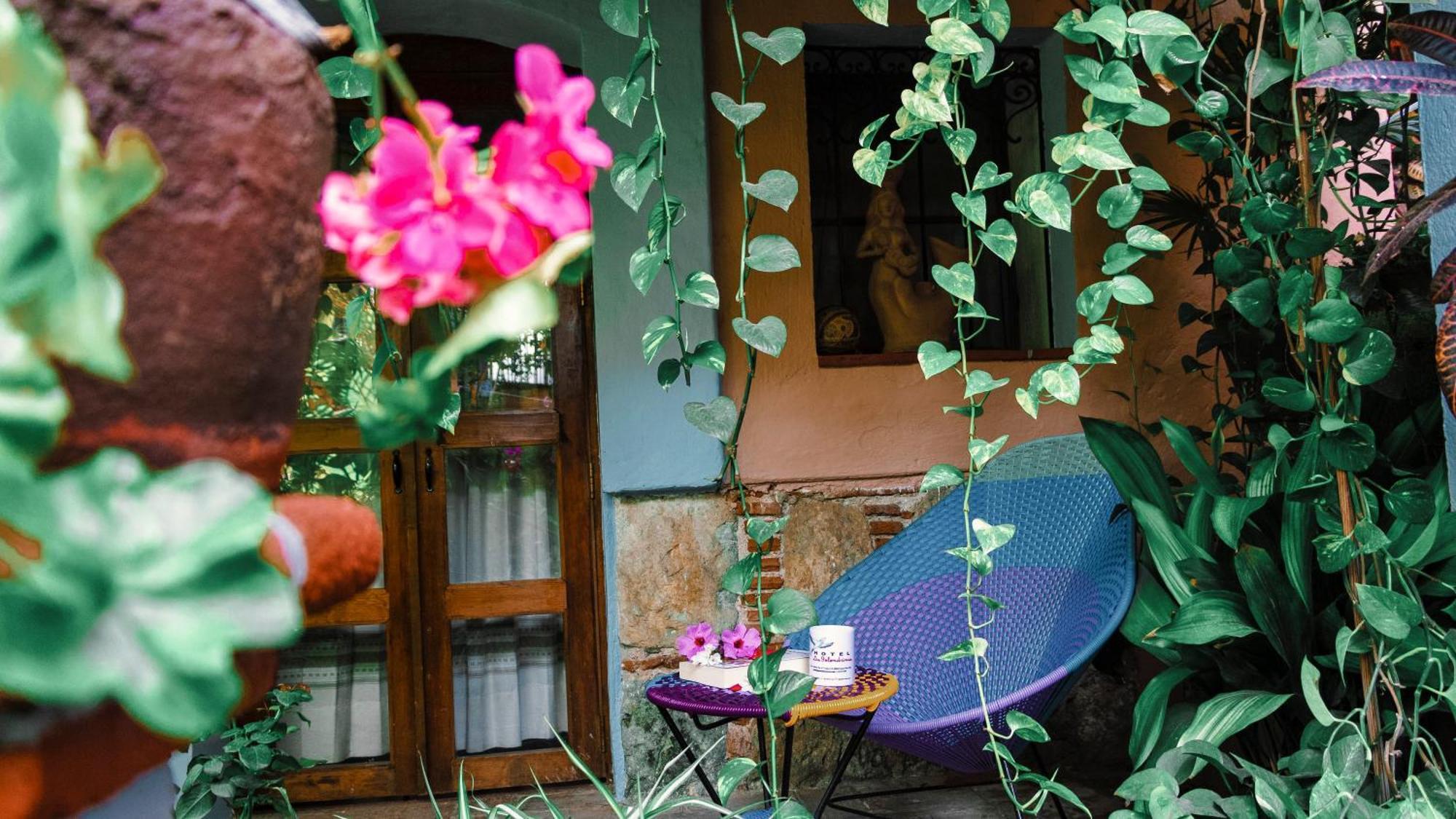 Hotel Las Golondrinas Oaxaca Buitenkant foto