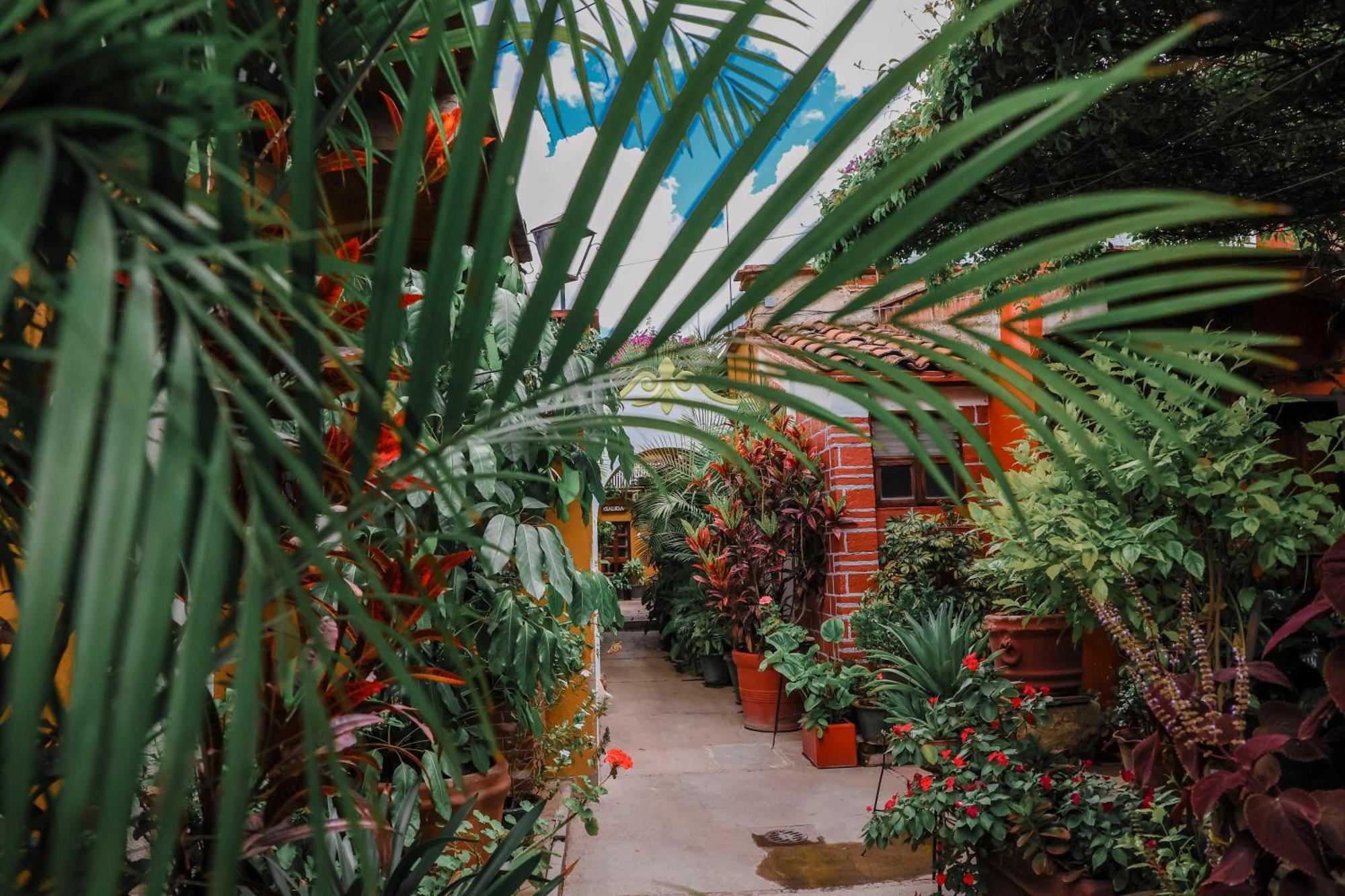Hotel Las Golondrinas Oaxaca Buitenkant foto