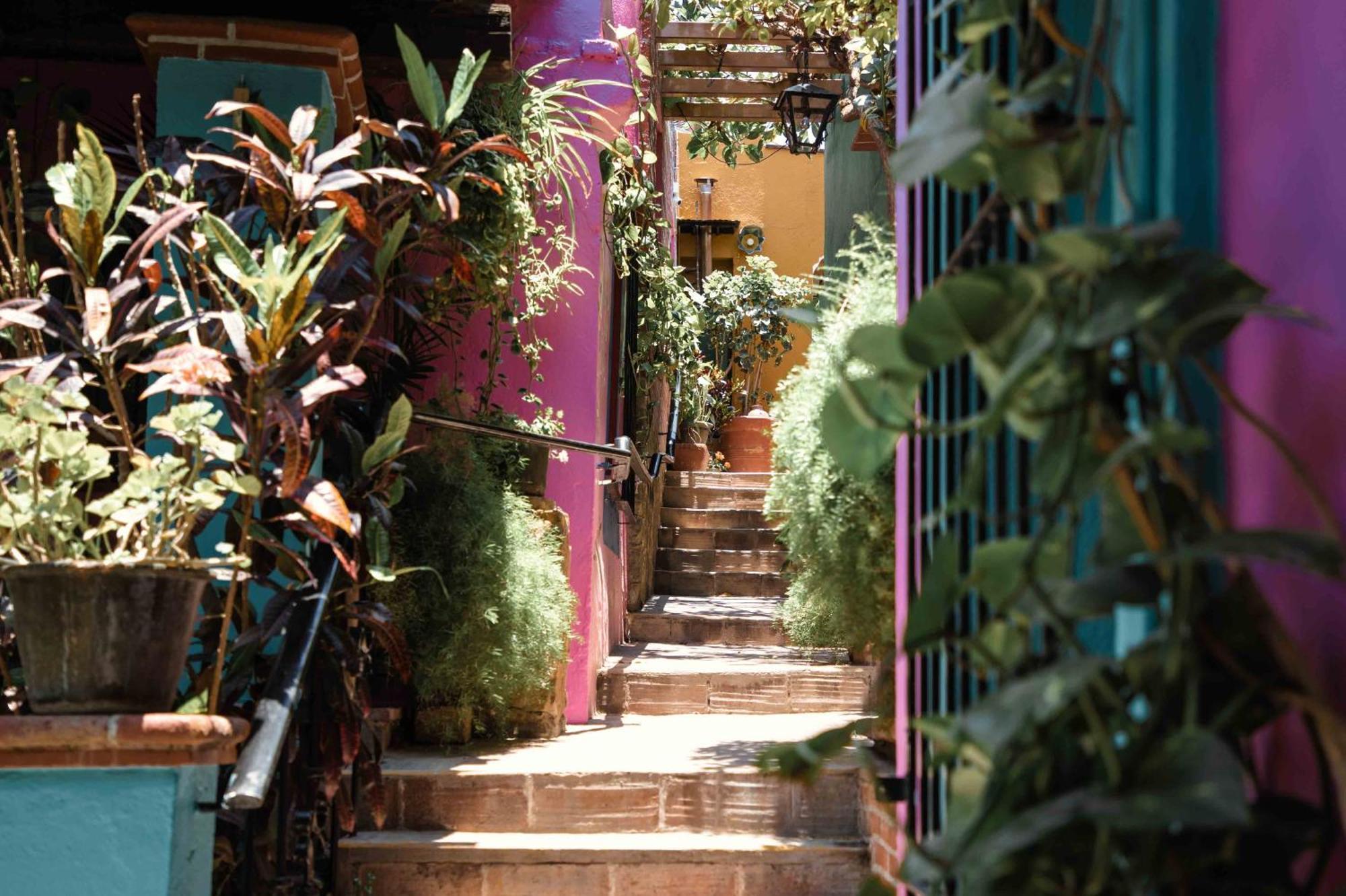 Hotel Las Golondrinas Oaxaca Buitenkant foto
