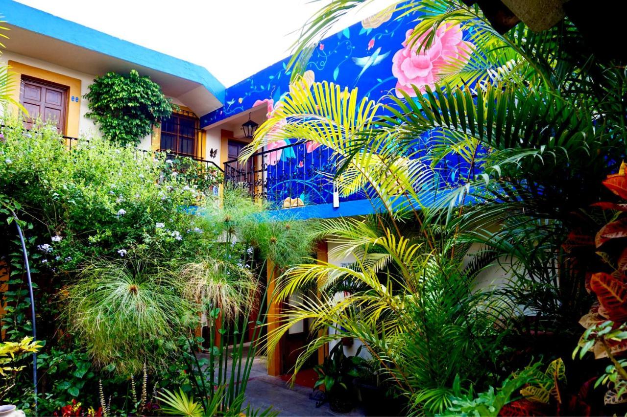 Hotel Las Golondrinas Oaxaca Buitenkant foto
