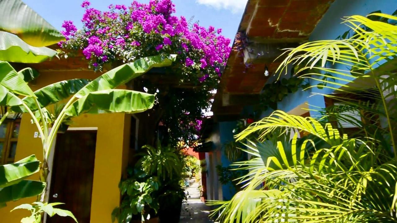 Hotel Las Golondrinas Oaxaca Buitenkant foto