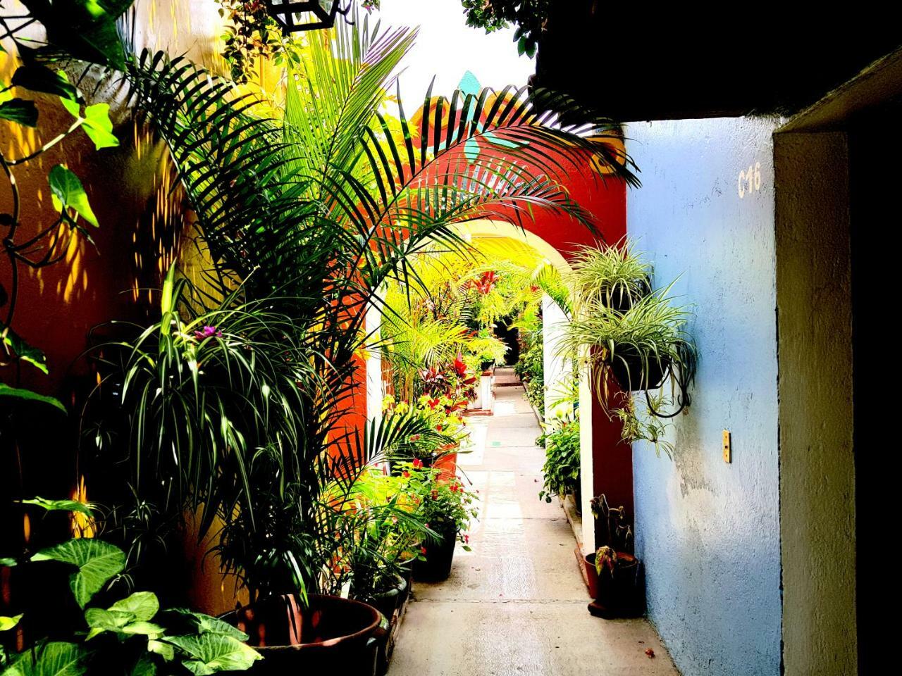 Hotel Las Golondrinas Oaxaca Buitenkant foto